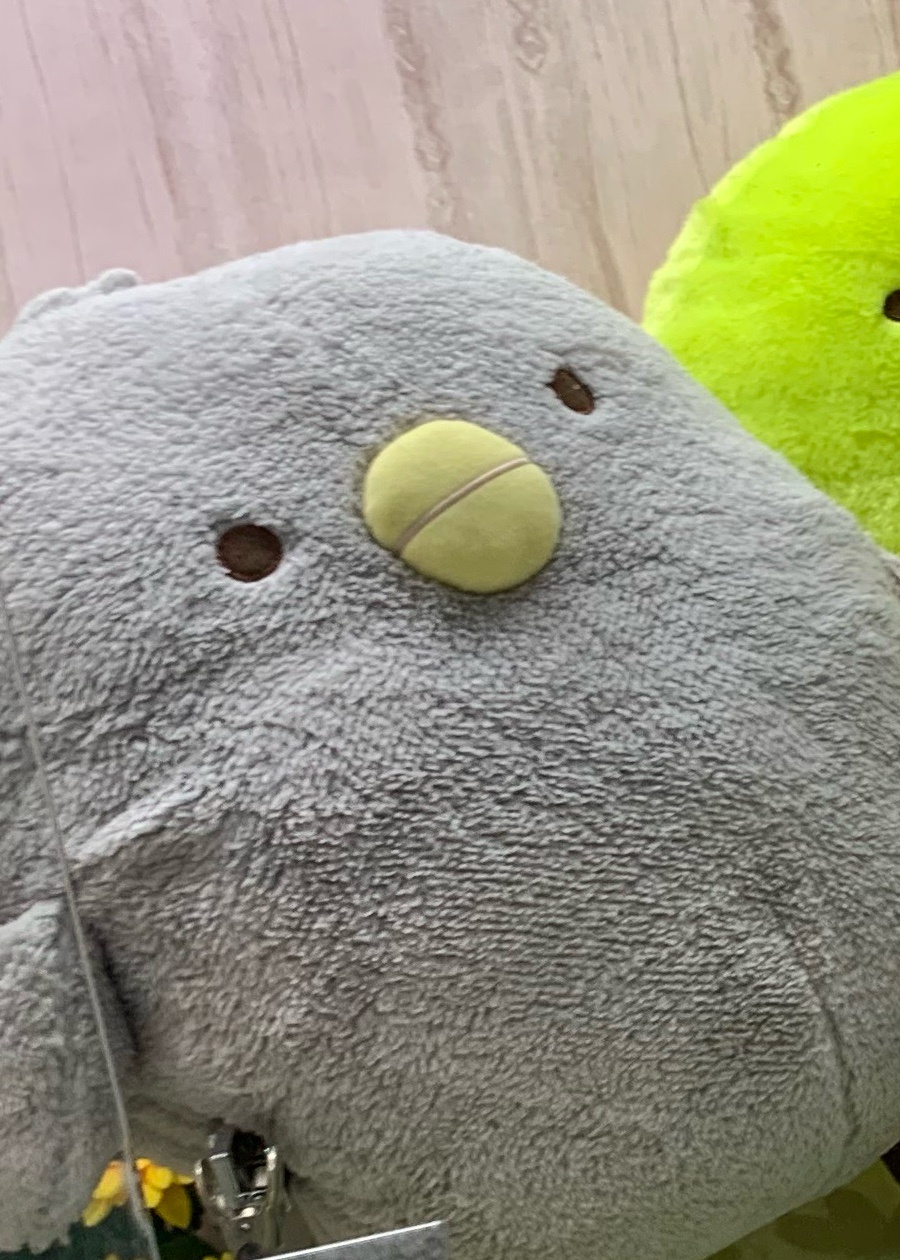 グレーのぺんぎん?をあげます