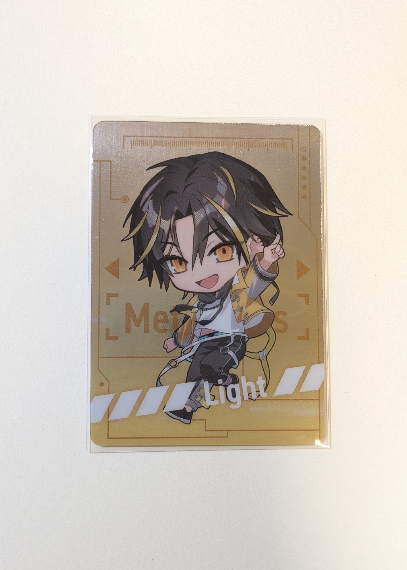 めておら武道館グッズ