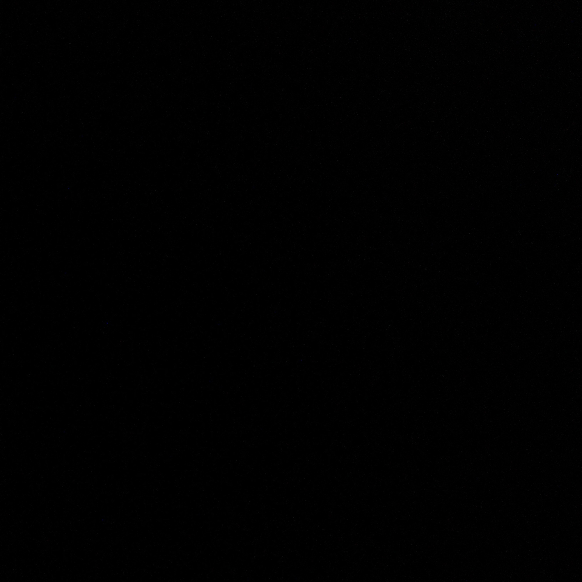 ぱんのみみ